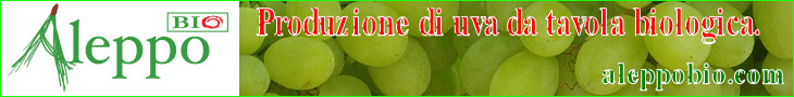 Produzione di uva da tavola biologica. ALEPPOBIO.COM